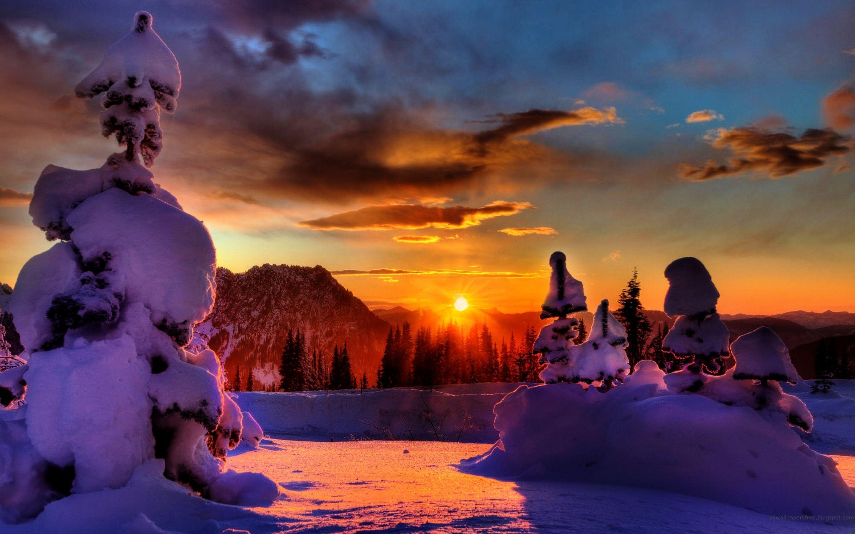 2880x1800 Winter sunset wallpaperx1800