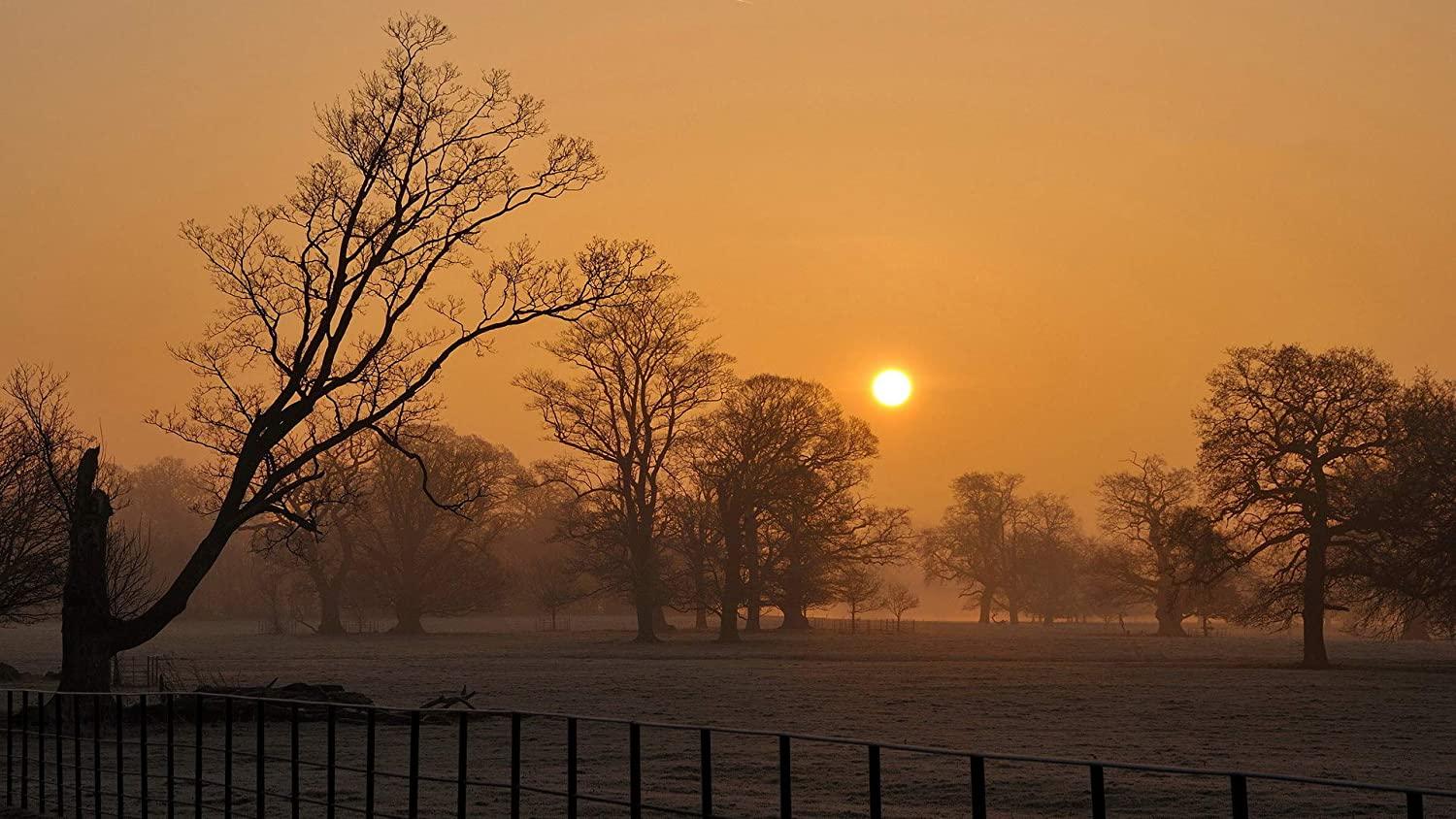 1500x844 Buy Avikalp Exclusive Awi5097 Amazing Winter Sunset Nature Full HD Wallpaper (Wall Stickers) (10 X 8 Ft) Online at Low Prices in India
