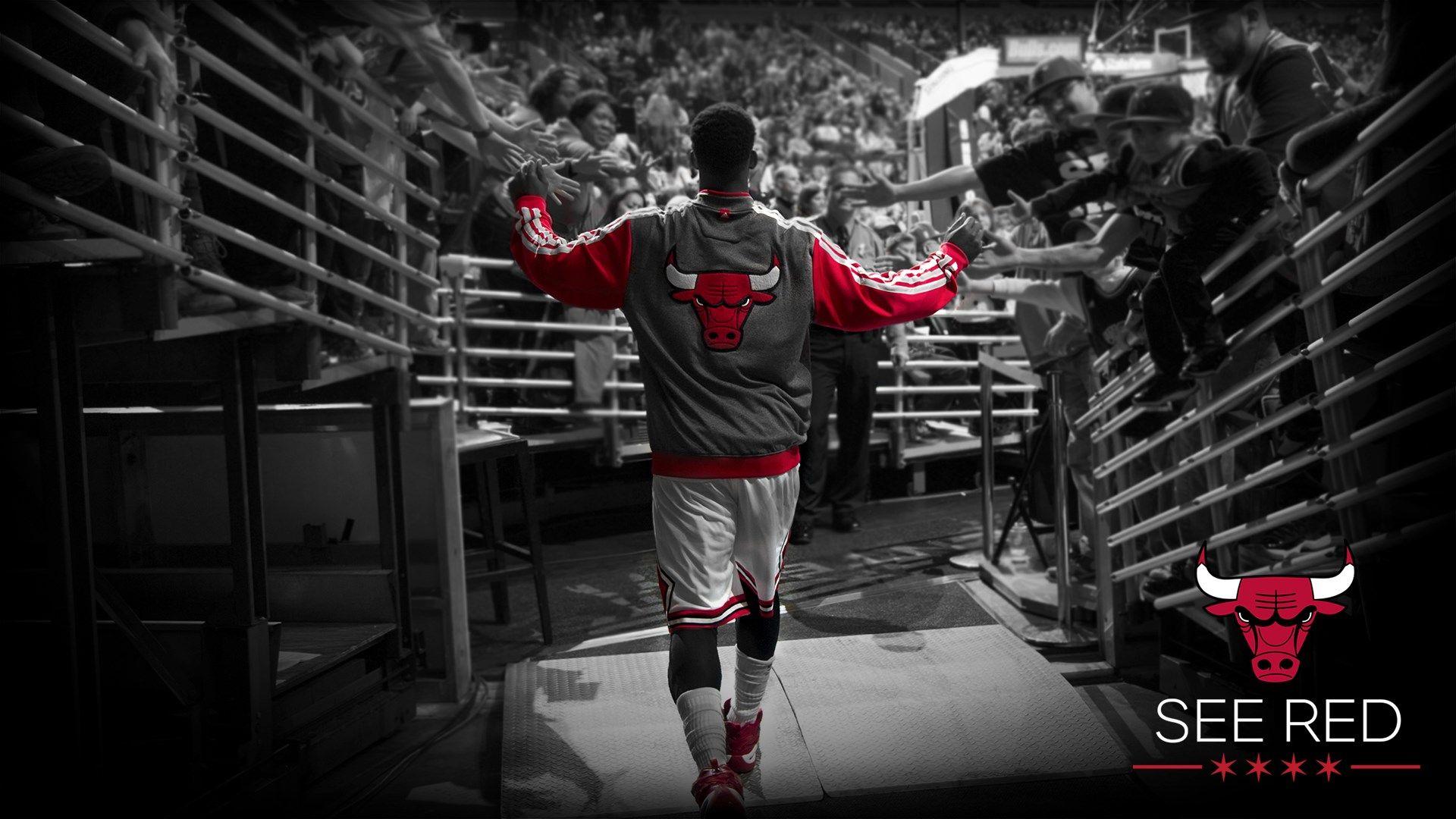 1920x1080 Chicago Bulls Wallpaper HD