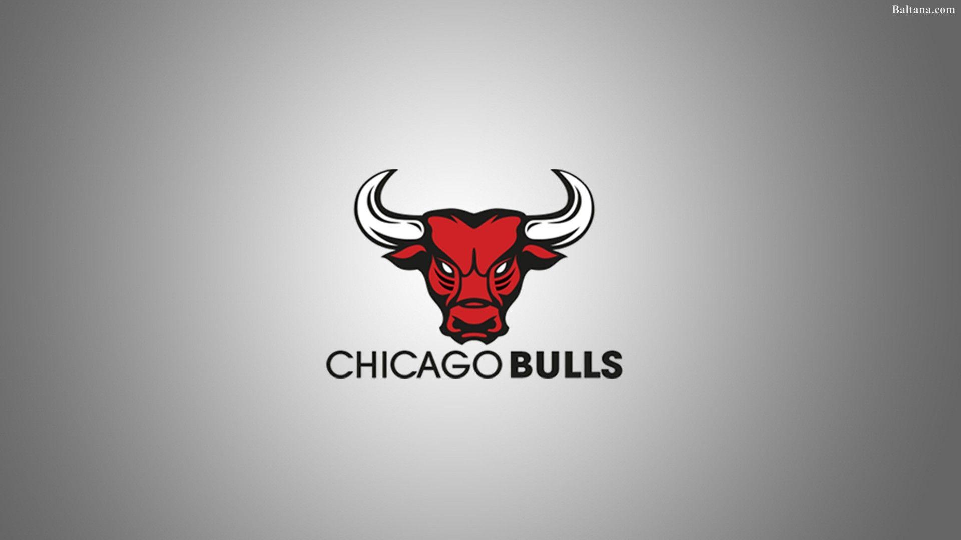 1920x1080 Chicago Bulls Best HD Wallpaper 33433