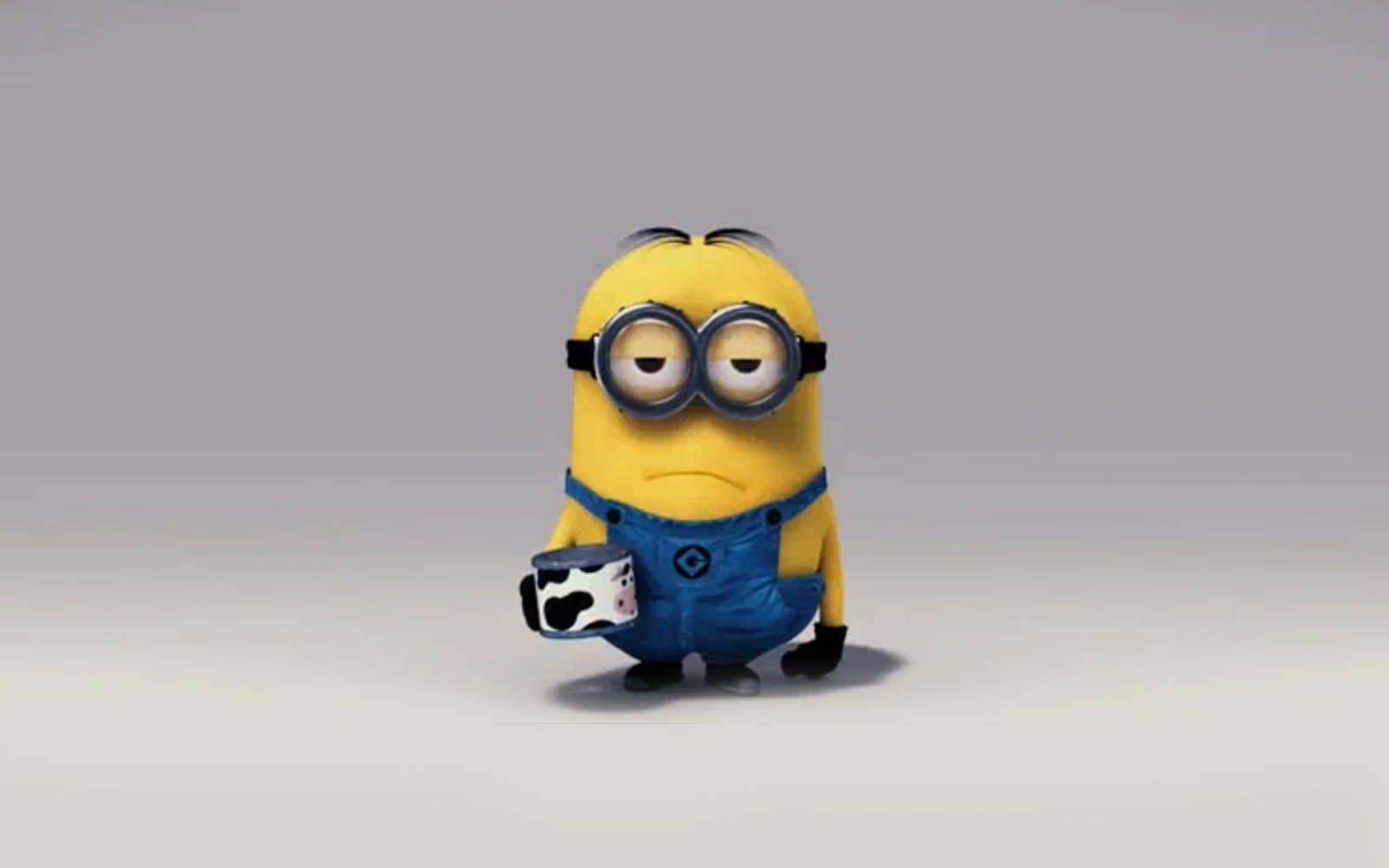 1600x1000 Despicable Me Wallpaper High Quality