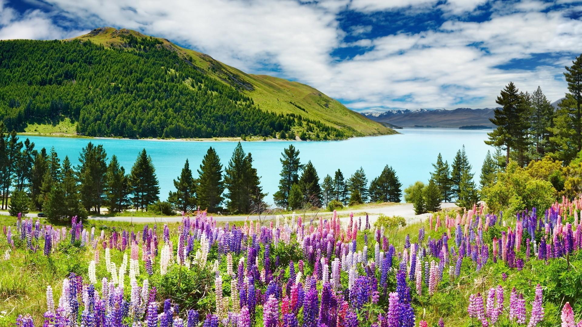 1920x1080 Landscape With Mountain, Lake And Flowers Wallpaper