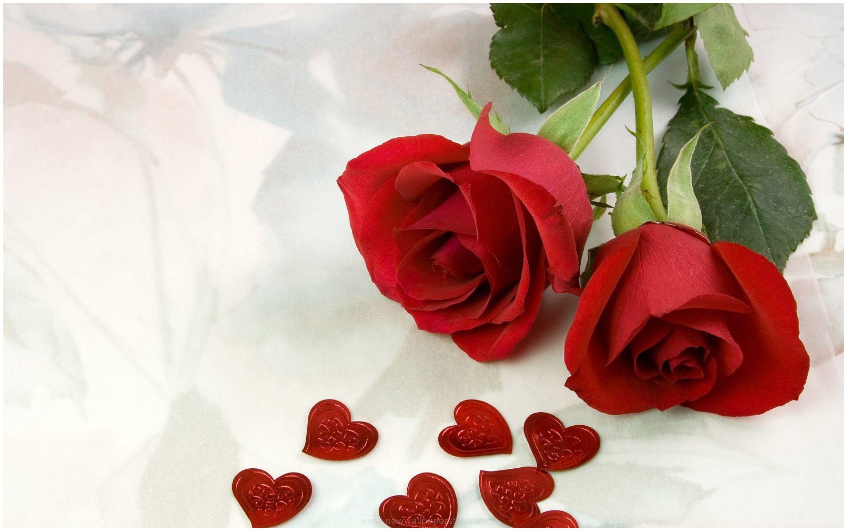 2732x1714 HEARTS AND FLOWERS LOVE HD WALLPAPER1 > 9 Wallpaper HD. Rose day wallpaper, Beautiful red roses, Flower wallpaper