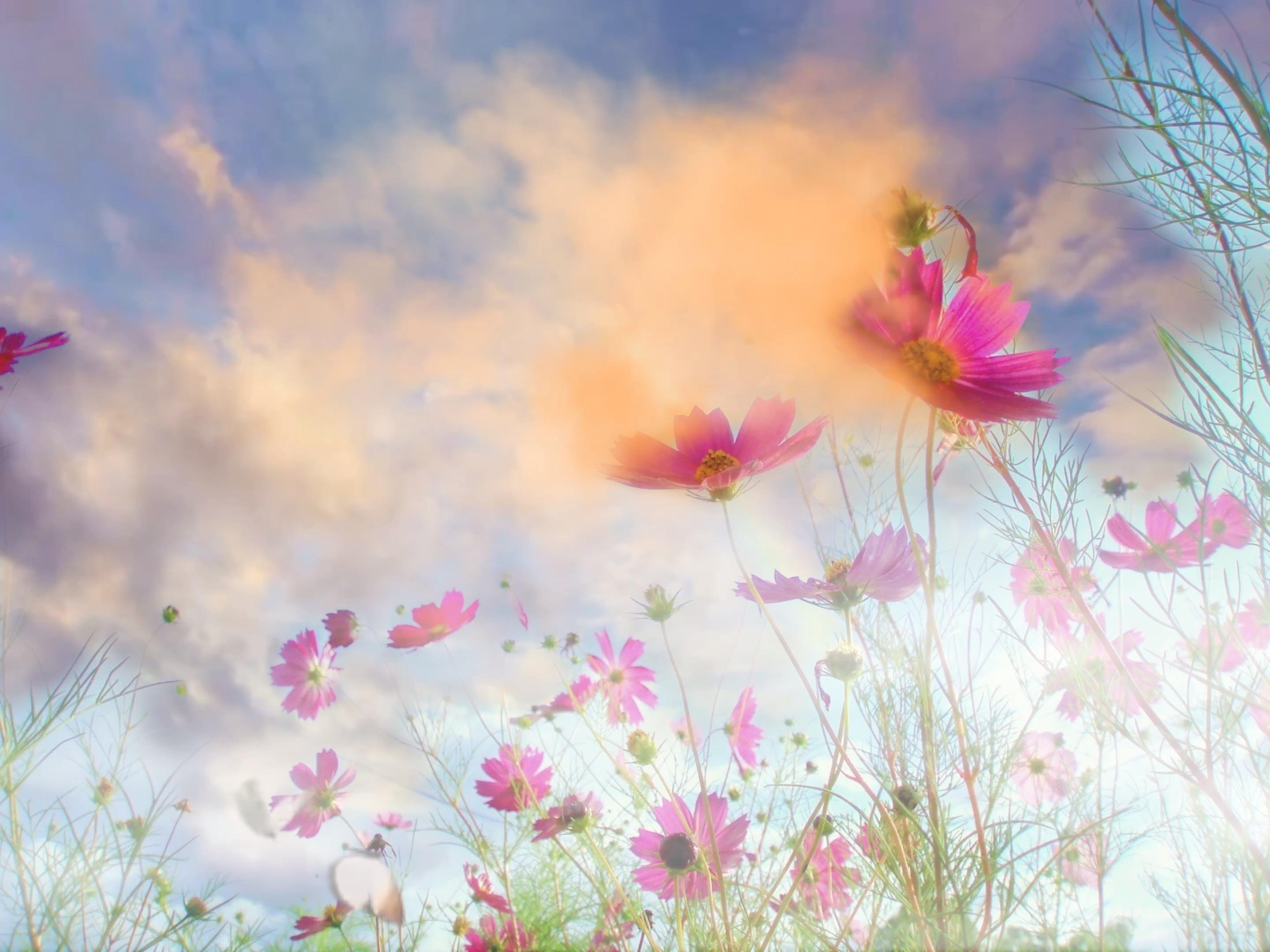 2880x2160 The Office Wall Art most famous artist in the world desert landscape paintin. Nature photography flowers, Flowers photography wallpaper, Desert landscape painting