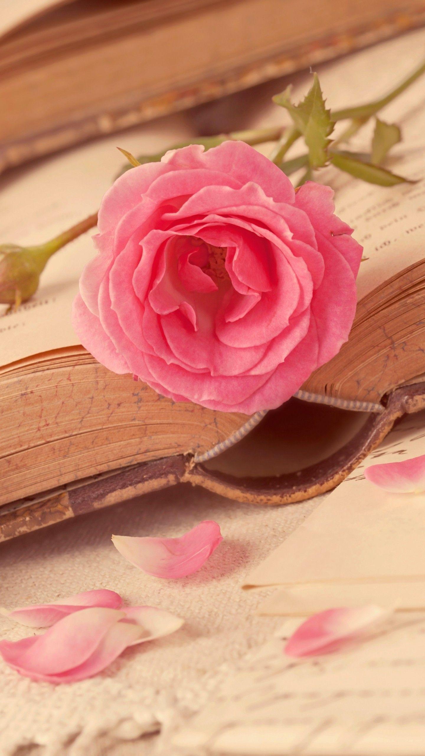 1440x2560 Heart Love Rose Wallpaper Mobile