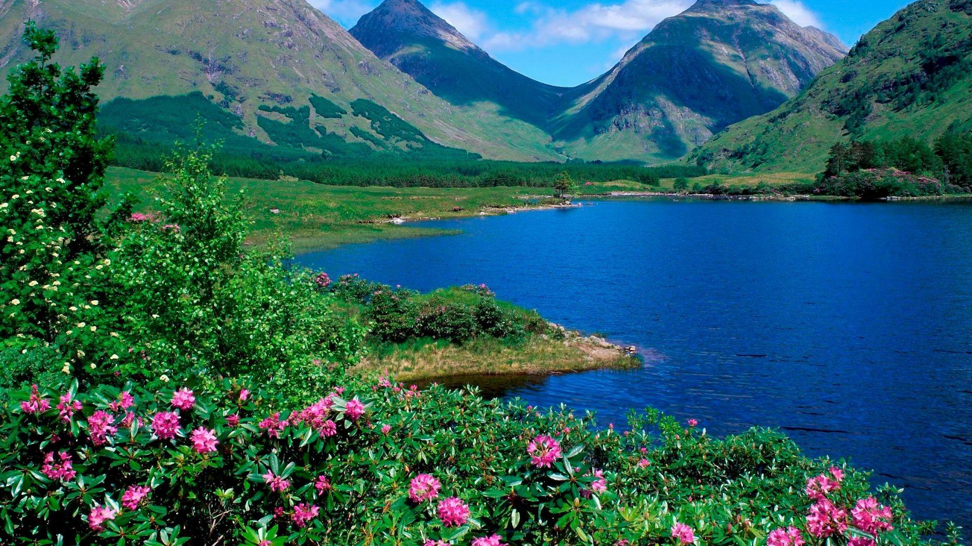 1920x1080 Download Wallpaper 1920x1080 mountains, lake, flowers, slopes, greens, grass, summer Full HD 1080p HD Background