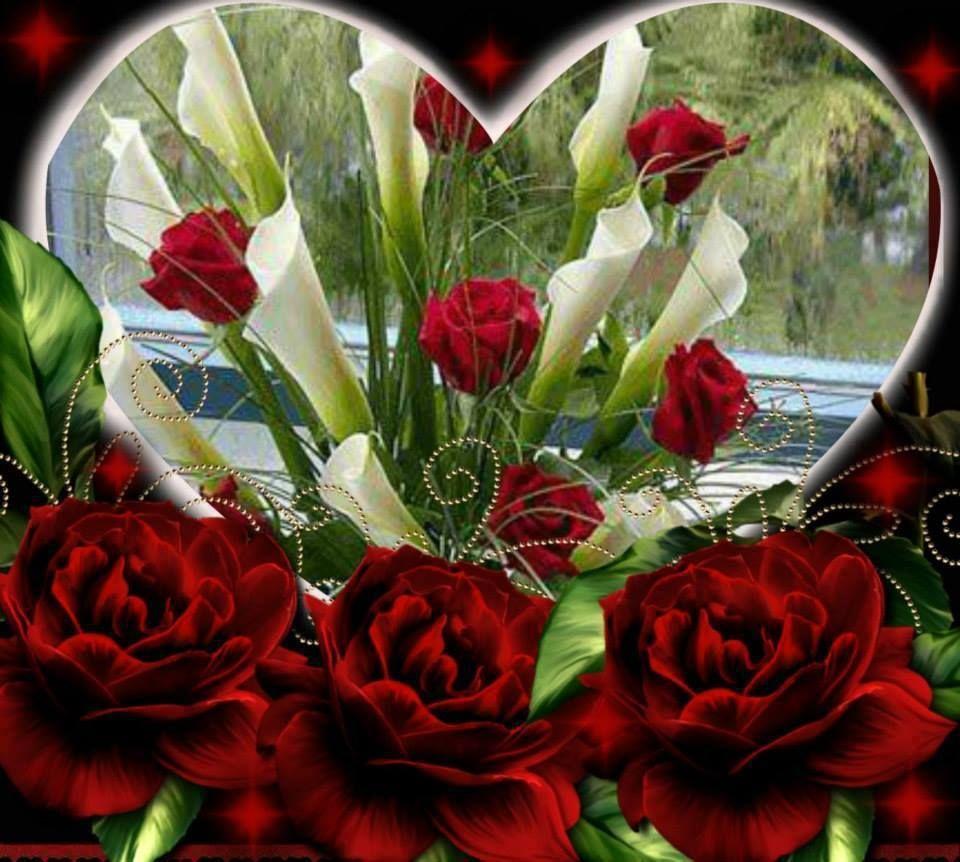 960x862 Facebook. Beautiful roses, Flowers, Beautiful flowers