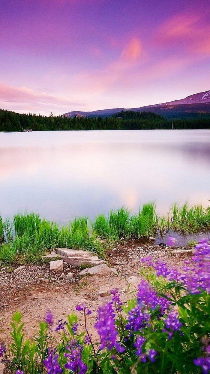 700x1244 Spring Lakes And Flowers Wallpaper