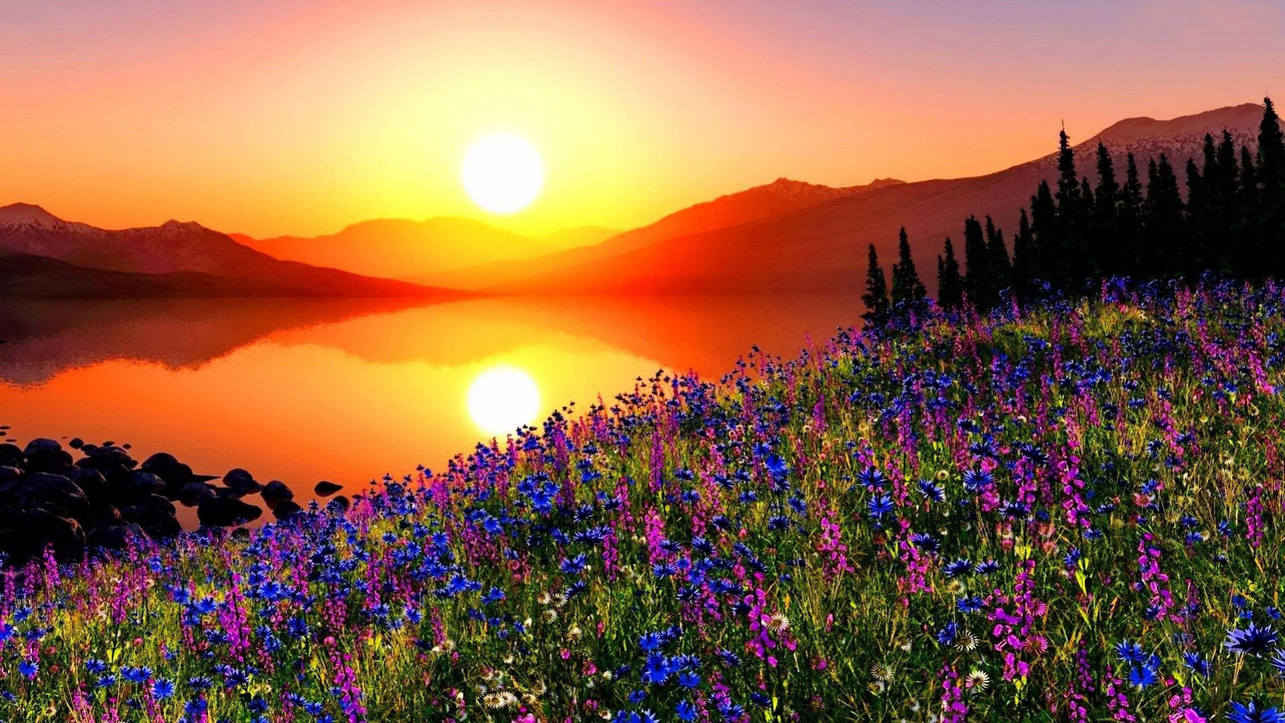 2560x1440 Sunset Mountain Meadow With Flowers, Pine Trees, Mountains, Sky Reflection On A Red In The Lake HD Wallpaper For Desktop :