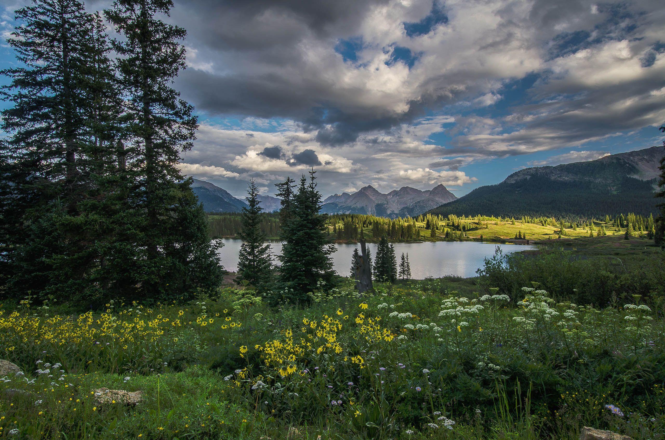 2560x1696 Lake mountains trees field flowers landscape wallpaperx1696