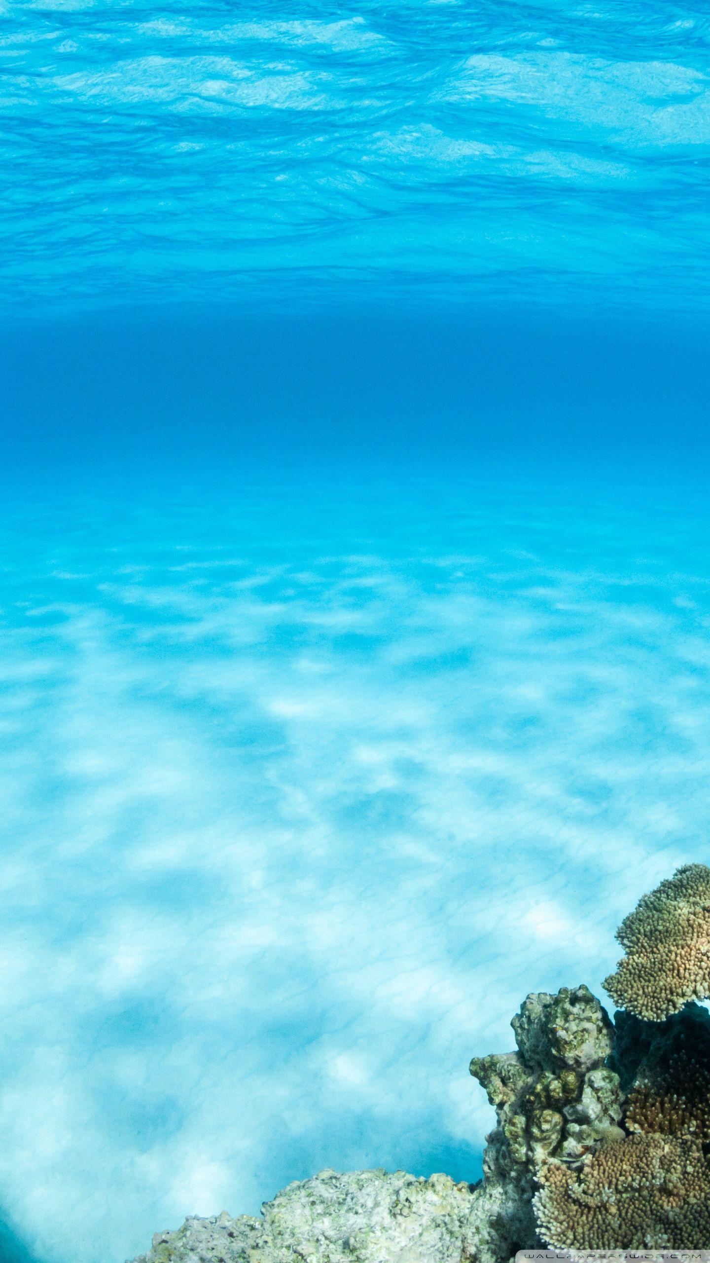 1440x2560 Underwater, Summer Ultra HD Desktop Background Wallpaper for 4K UHD TV : Widescreen & UltraWide Desktop & Laptop : Tablet