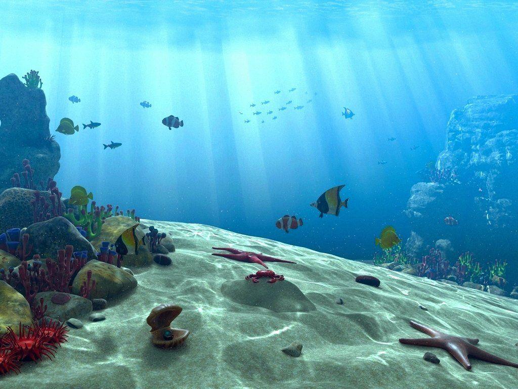 Underwater Summer Wallpapers - Top Free Underwater Summer Backgrounds ...