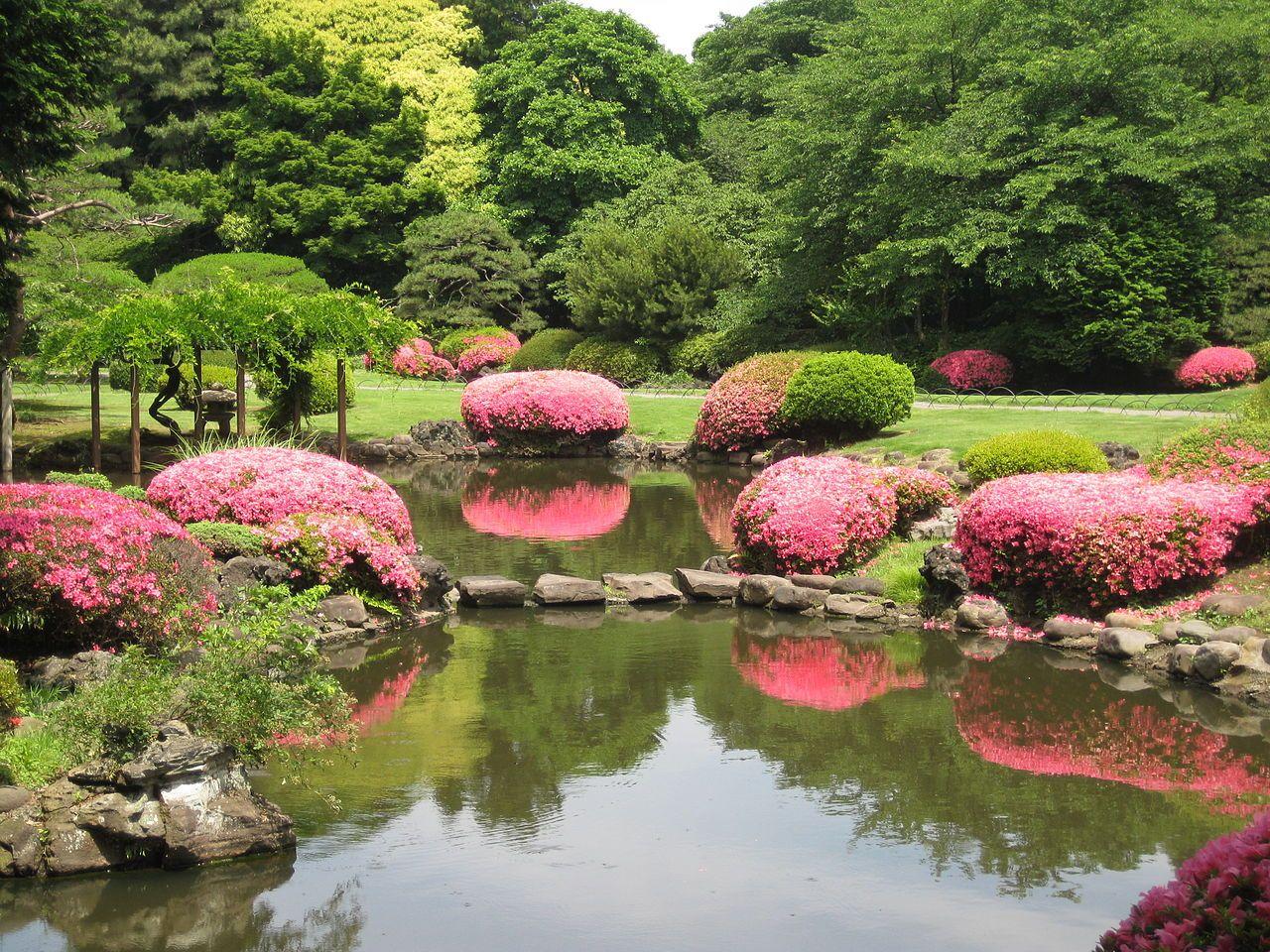 1280x960 Shinjuku Gyoen Garden wallpaper, Photography, HQ Shinjuku Gyoen