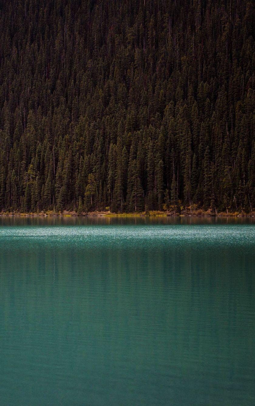 840x1336 Download 840x1336 wallpaper mountains, trees, lake, minimal, nature, iphone iphone 5s, iphone 5c, ipod touch, 840x1336 HD image, background, 7519