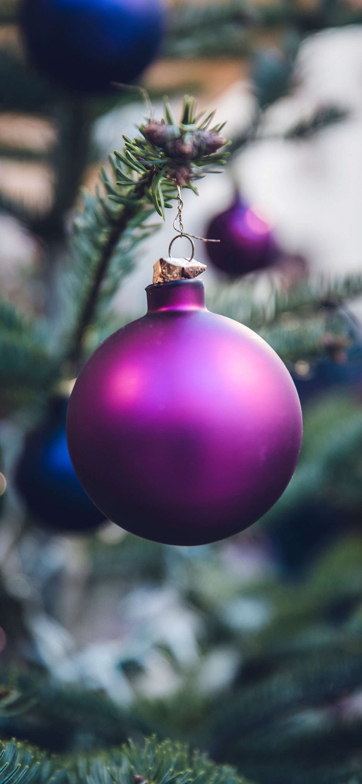 1242x2688 High Resolution Purple Christmas Wallpaper