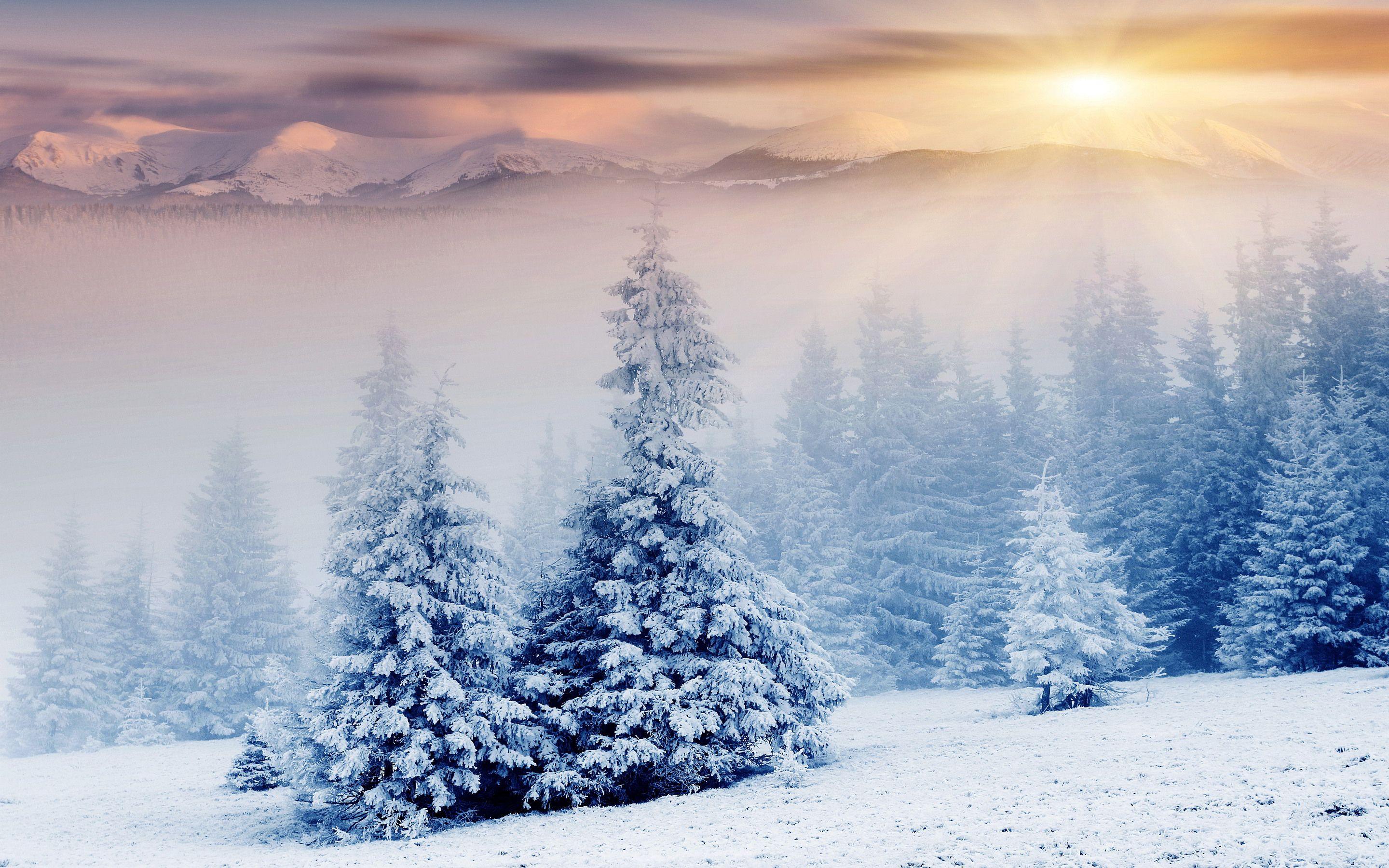 2880x1800 Snowfall Wallpaper