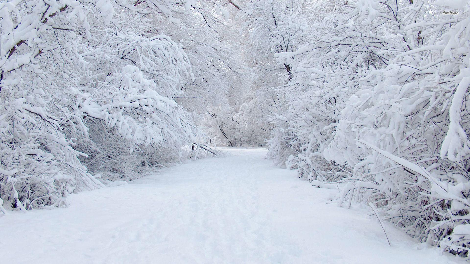 1920x1080 snow wallpaper perfect Desktop Wallpaperk HD