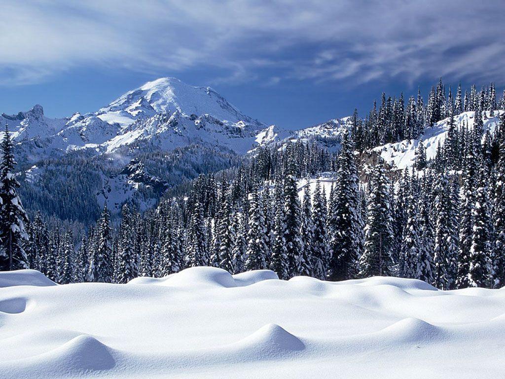 1024x768 Snow Background
