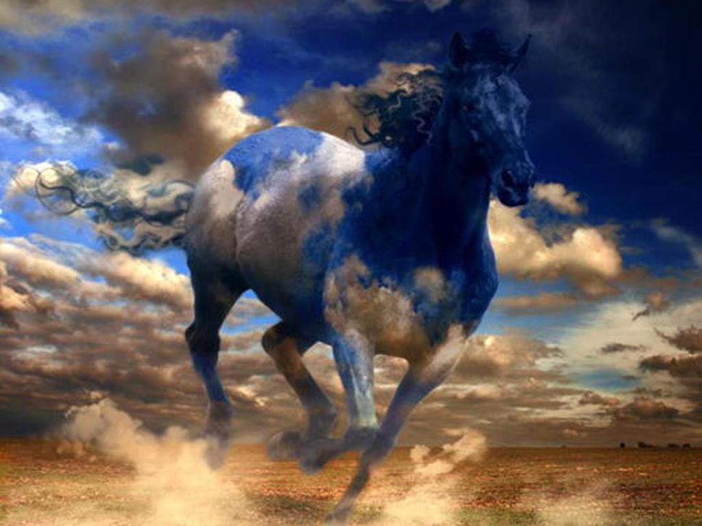 1024x768 Free download horse computer wallpaper horse racing wallpaper cow wallpaper [1024x768] for your Desktop, Mobile & Tablet. Explore Christmas Horses Wallpaper for Computer. Christmas Desktop Free Holiday Wallpaper, Christmas