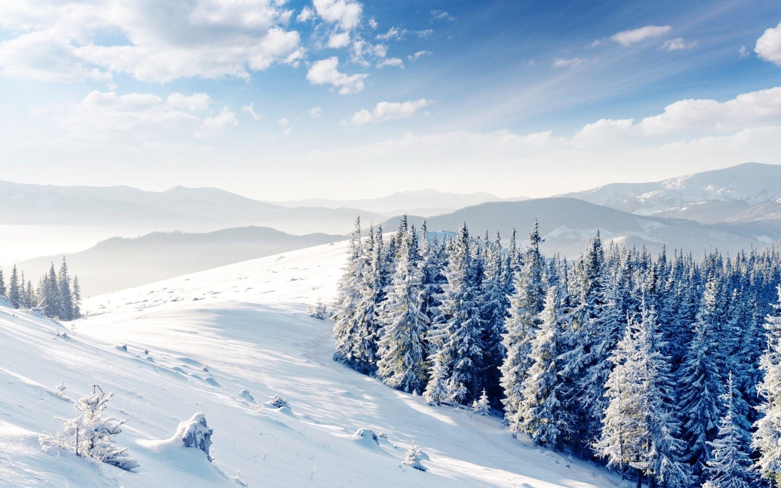 2560x1600 Windows Wallpaper Lovely, Winter, Nature, Landscapes, HD Wallpaper, Landscape, Snow, Cool, High Definition, Beautiful, Fresh, Background Image