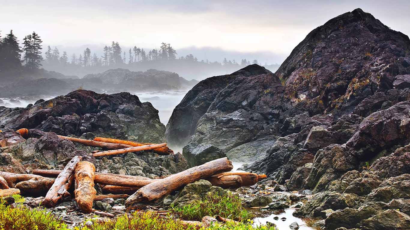 1366x768 Driftwood logs on the Pacific Coast, Wild Pacific Trail, Vancouver Island, British Columbia, Canada