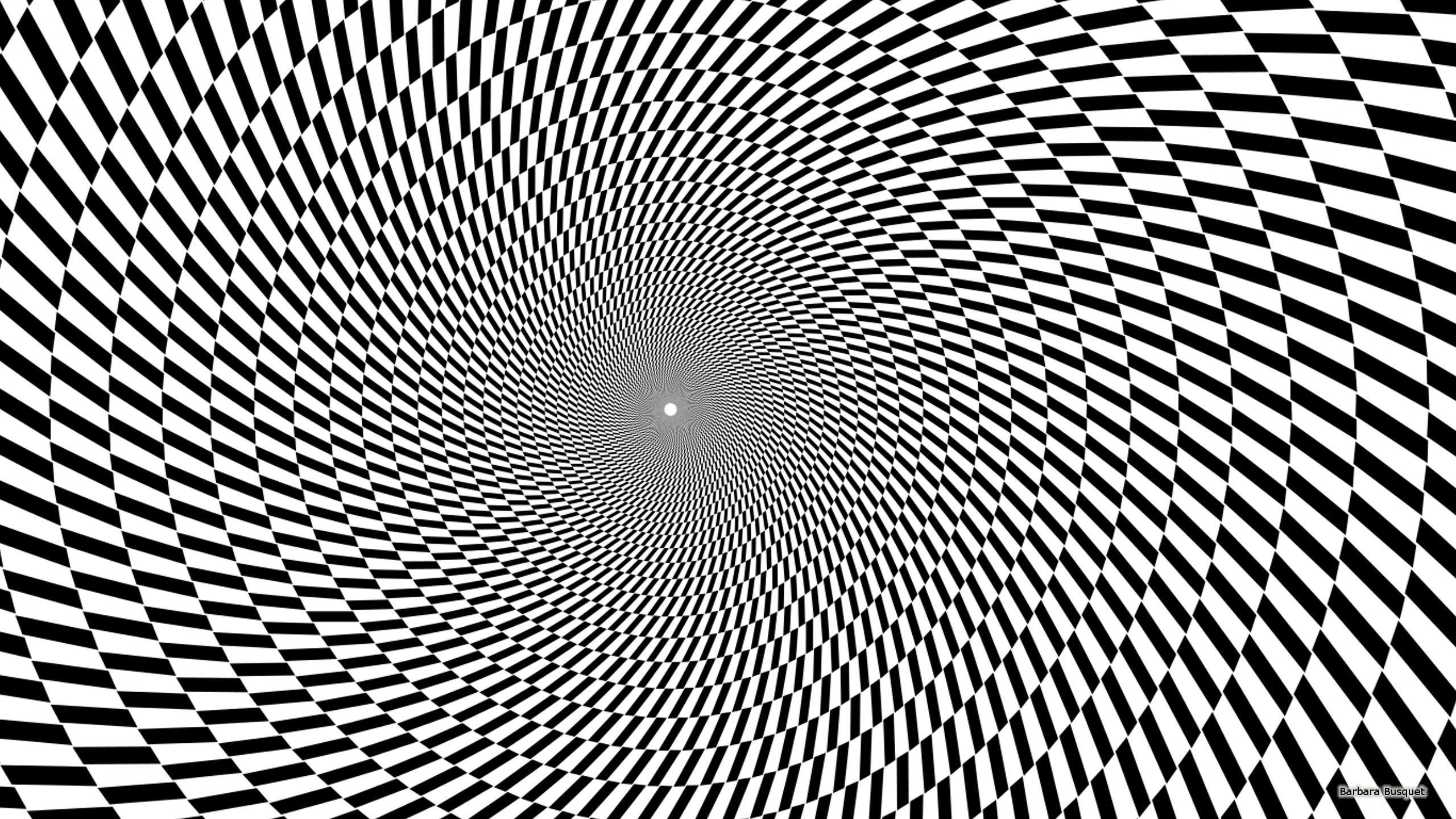 2560x1440 Black White Wallpaper's HD Wallpaper