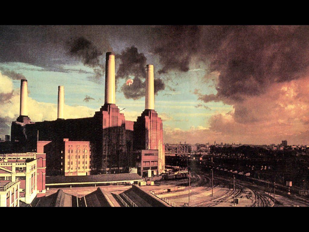 Pink Floyd Animals Wallpapers - Top Free Pink Floyd Animals Backgrounds ...