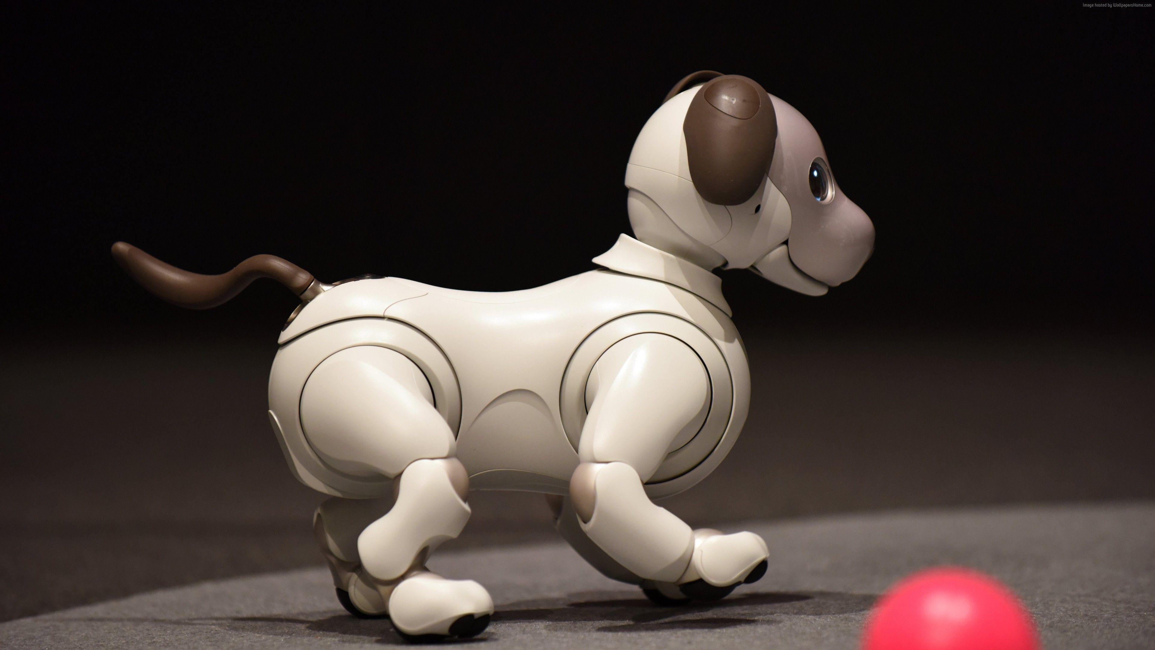 3840x2160 Wallpaper Sony Aibo, CES Robot, Dog, 8k, Hi Tech Wallpaper Download Resolution 4K Wallpaper