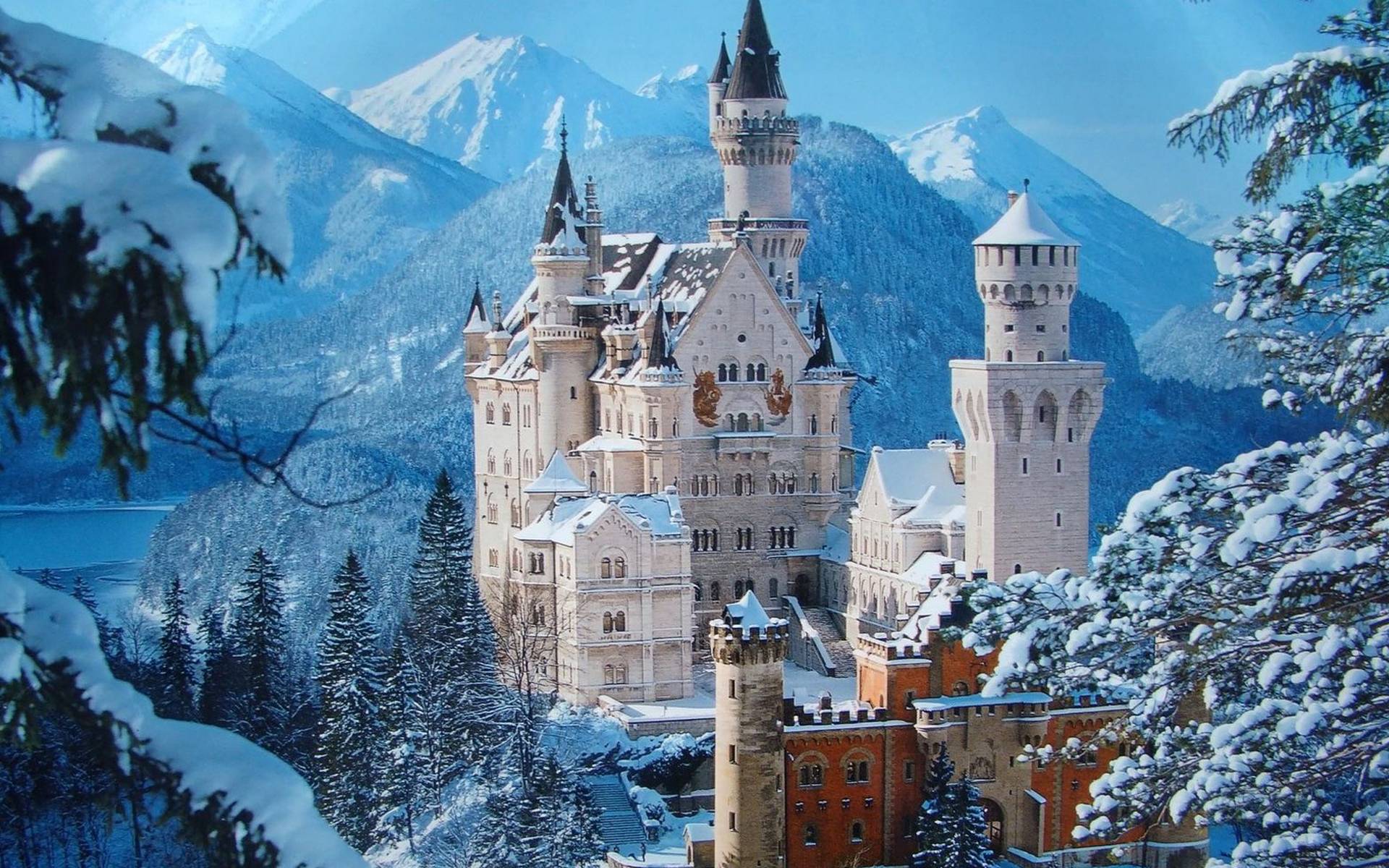 1920x1200 Fairytale' Castle Neuschwanstein, during the winter
