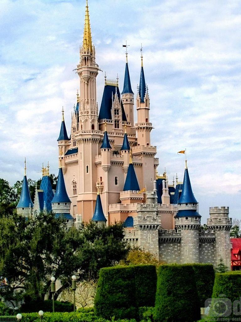 768x1024 Free download cinderella castle is the fairytale castle at the center of two disney [1024x1024] for your Desktop, Mobile & Tablet. Explore Disneyland Castle Wallpaper. Vintage Sleeping Beauty Wallpaper
