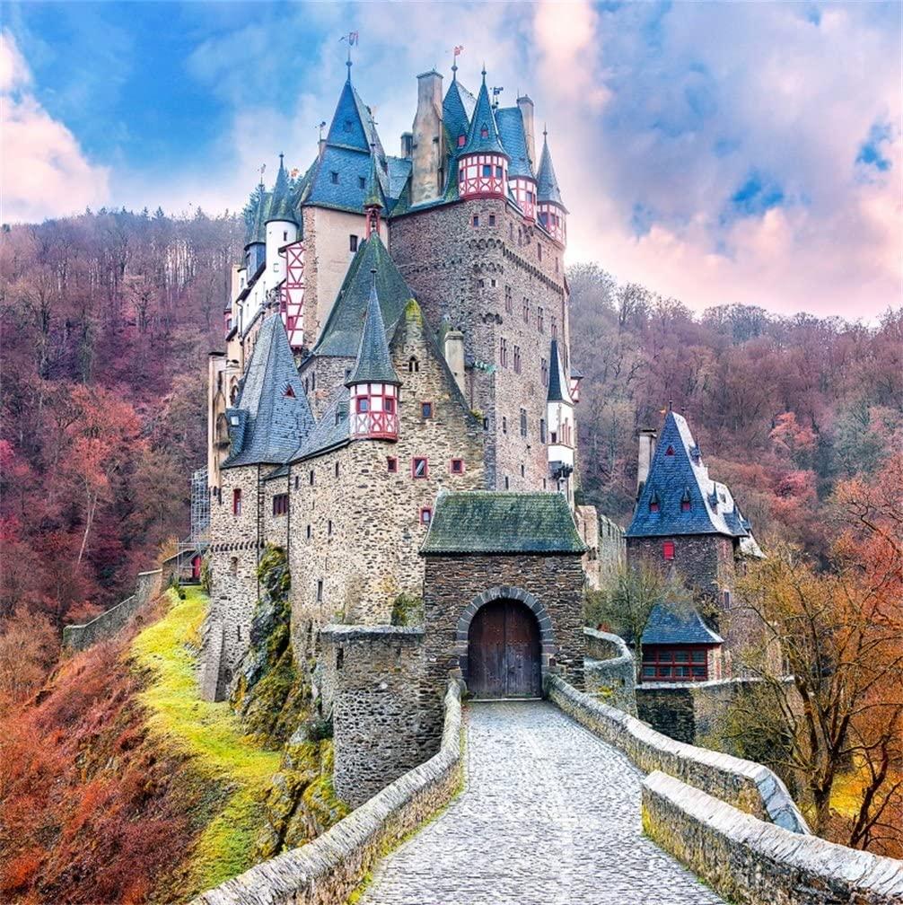 1006x1008 Amazon.com : CSFOTO 4x4ft Background for Fairytale Castle in Autumn Landscape Photography Backdrop Happiness Beautiful Ancient Architecture Building Holiday Resort Travel Photo Studio Props Wallpaper : Camera & Photo