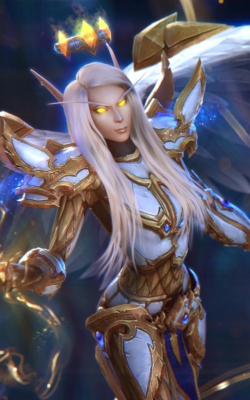 800x1280 Paladin Warcraft Nexus Samsung Galaxy Tab Note Android Tablets Wallpaper, HD Games 4K Wallpaper, Image, Photo and Background