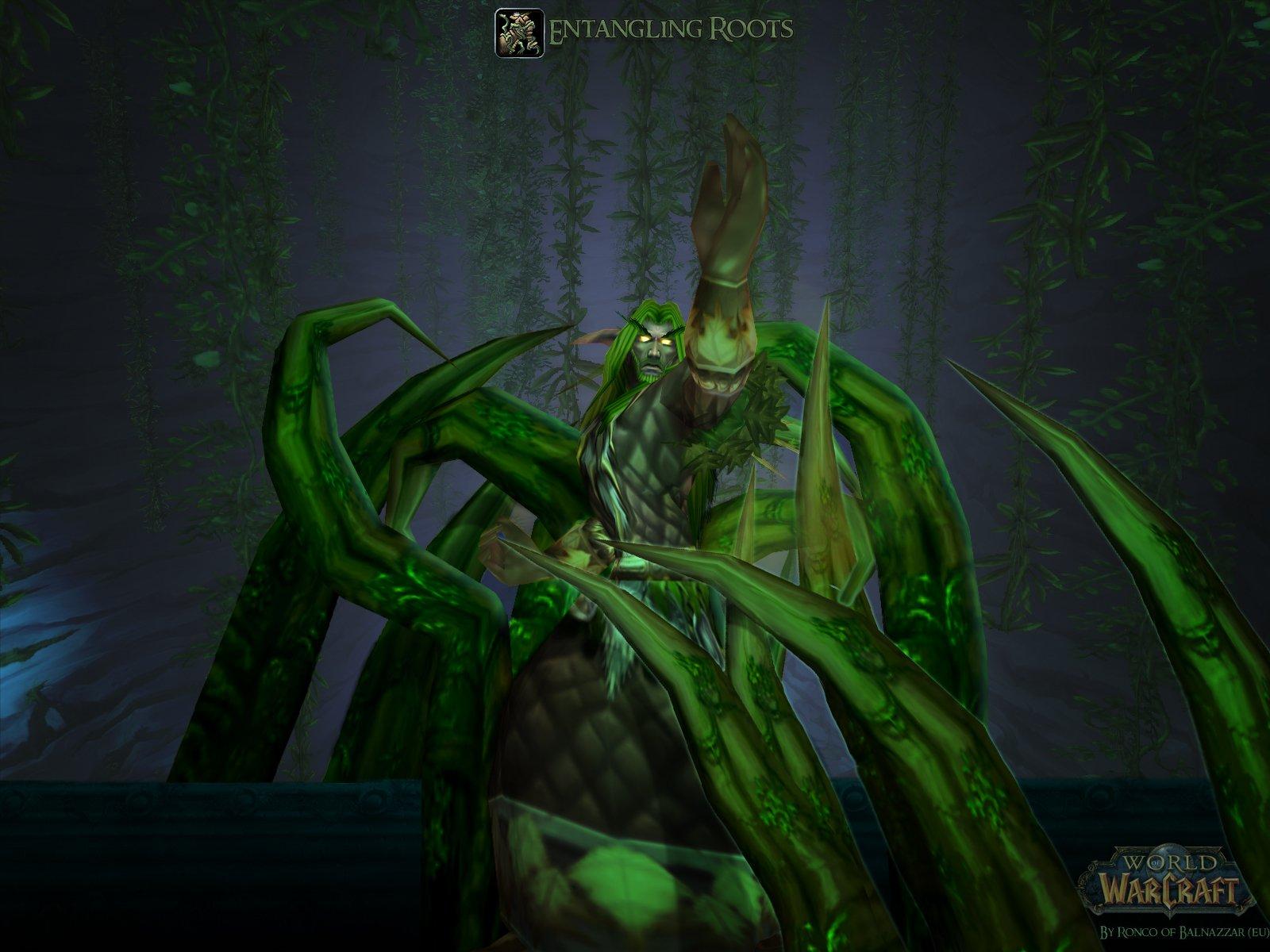 1600x1200 WOW Druid Wallpaper (1600x1200)