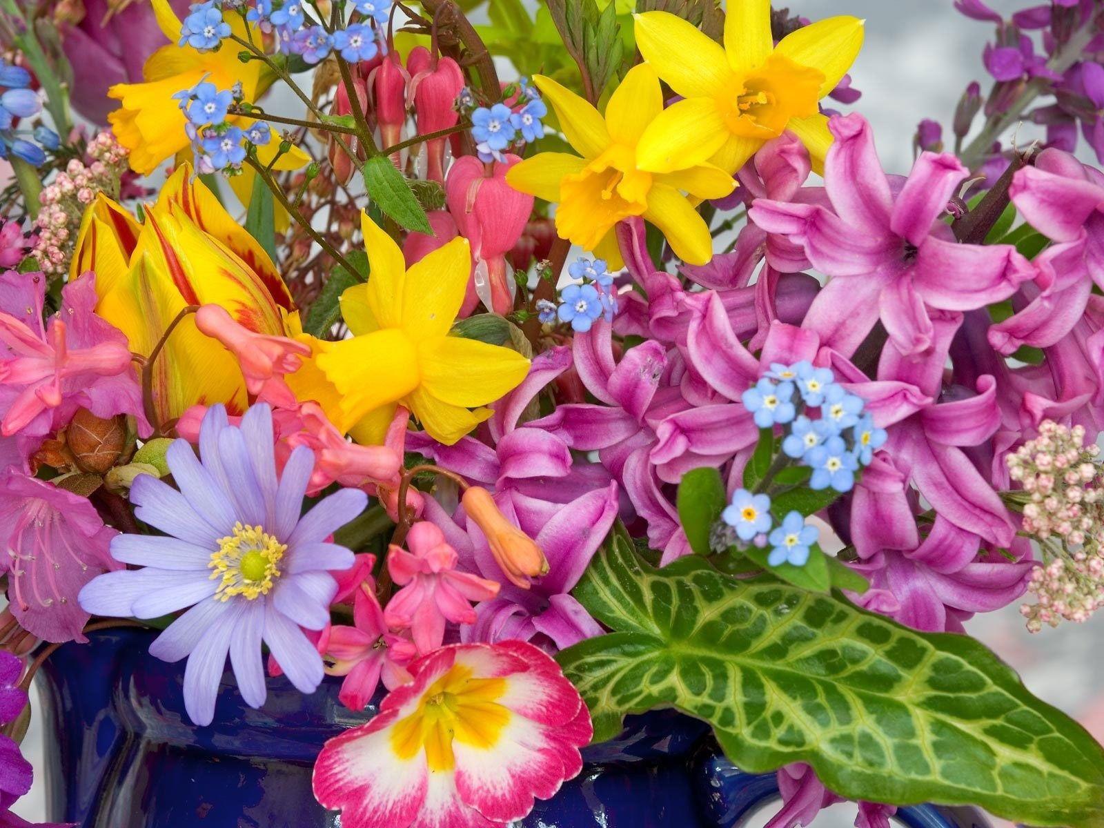1600x1200 Free Art Flowers, Download Free Clip Art, Free Clip Art on Clipart Library