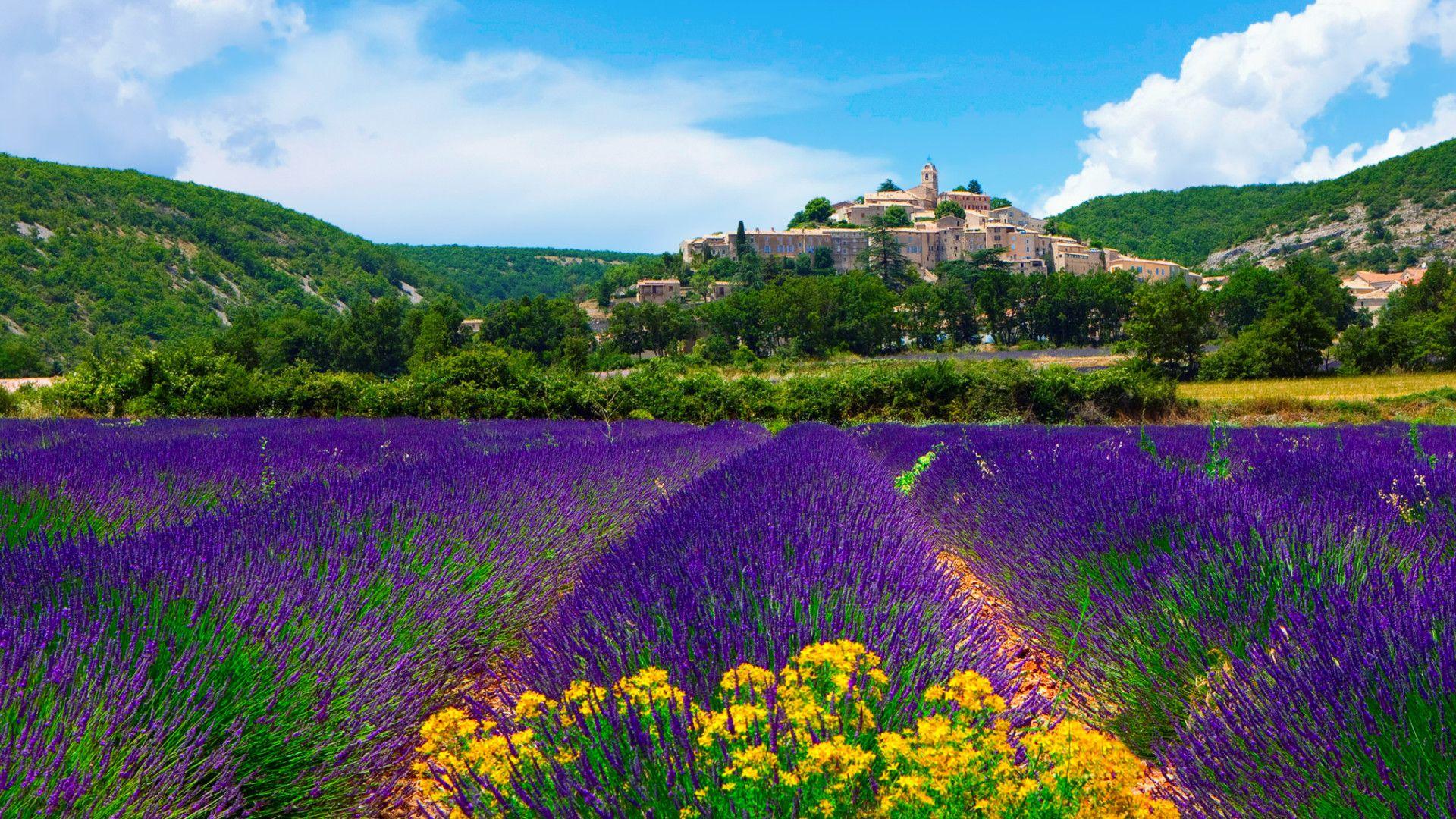 1920x1080 1920x Lavender Field In Provence France Wallpaper