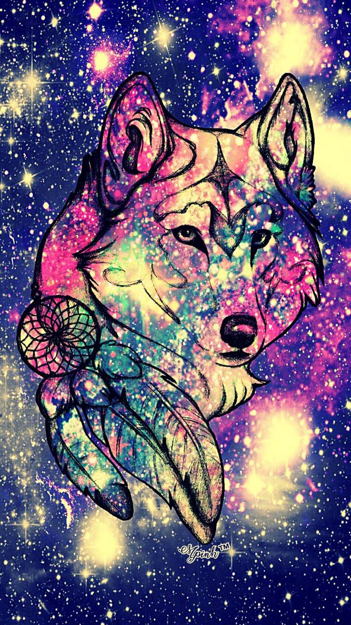 720x1280 Galaxy Fox wallpaper