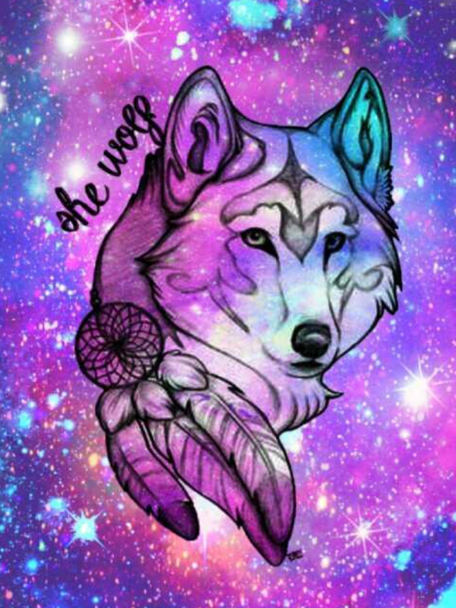 Fox Galaxy Wallpapers - Top Free Fox Galaxy Backgrounds - WallpaperAccess