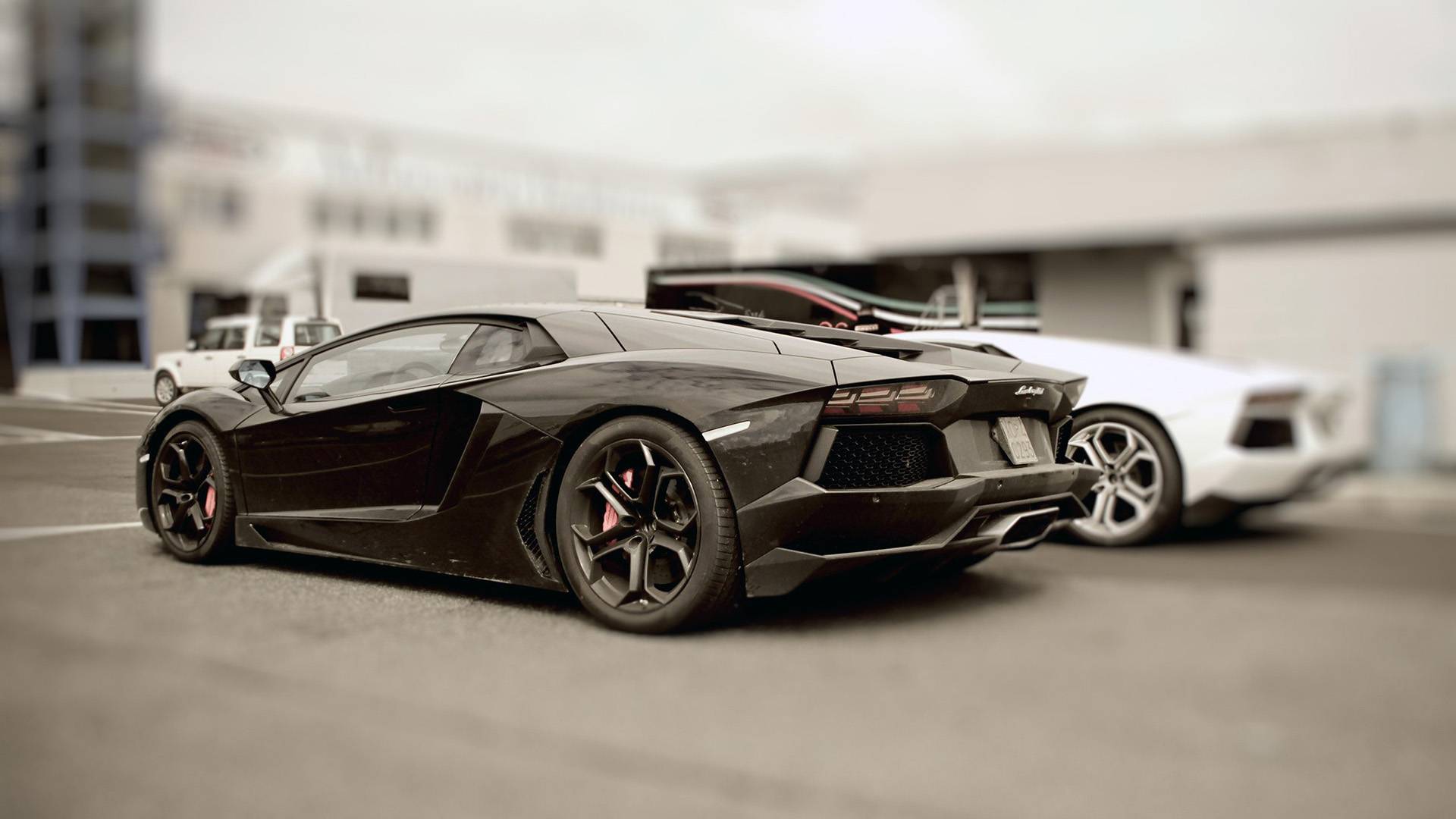 1920x1080 Black And White Exotic Cars 7 Desktop Background