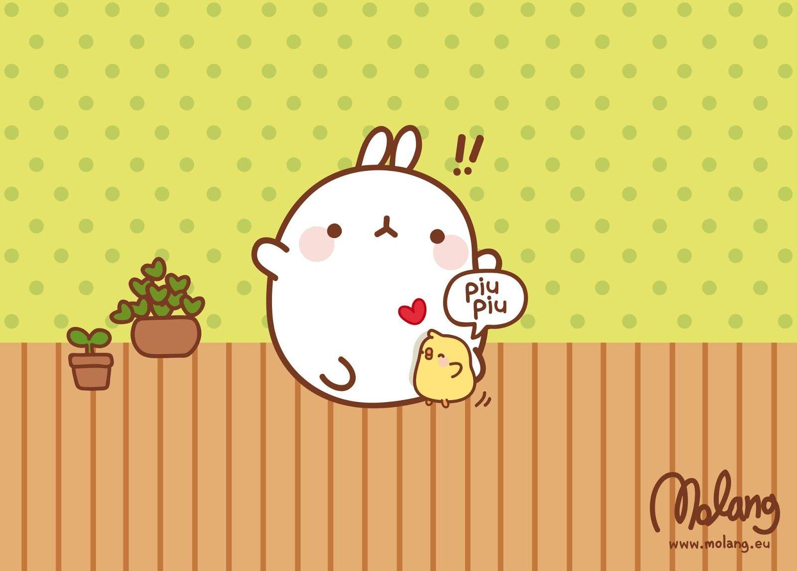 1600x1147 Molang Wallpaper
