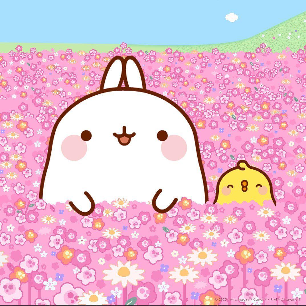 1073x1073 MOLANG en Instagram: “Stay positive and celebrate with Molang and Piu Piu the first day of Spring