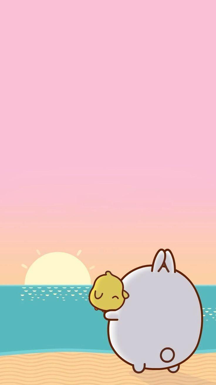 736x1308 Molang Summer Wallpaper