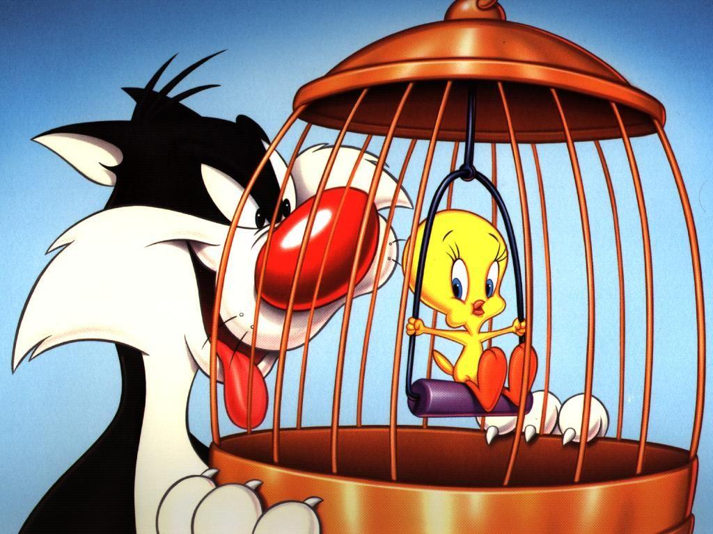 1024x768 Looney Tunes Frajola E Piu Piu Wallpaper