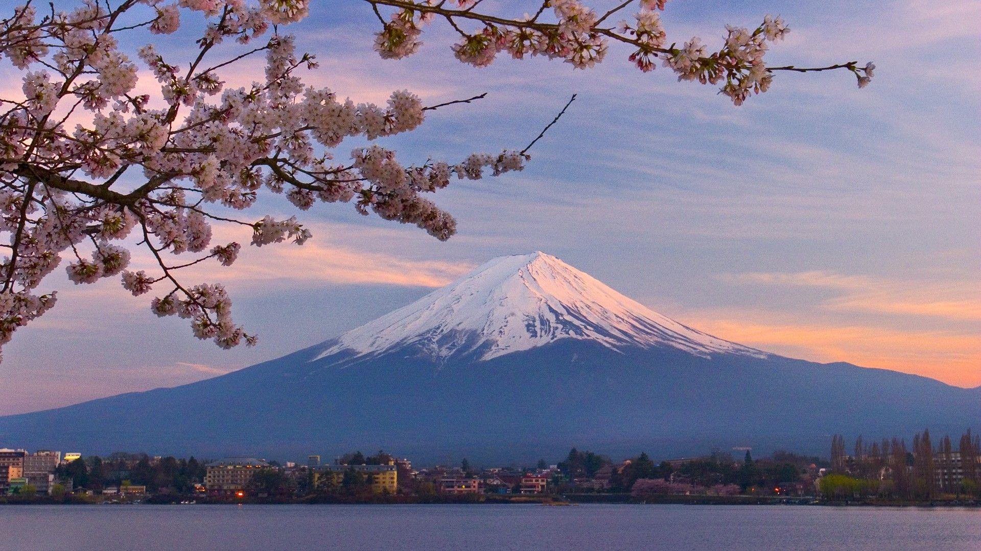 1920x1080 Mount Fuji Cherry Blossom hình nền