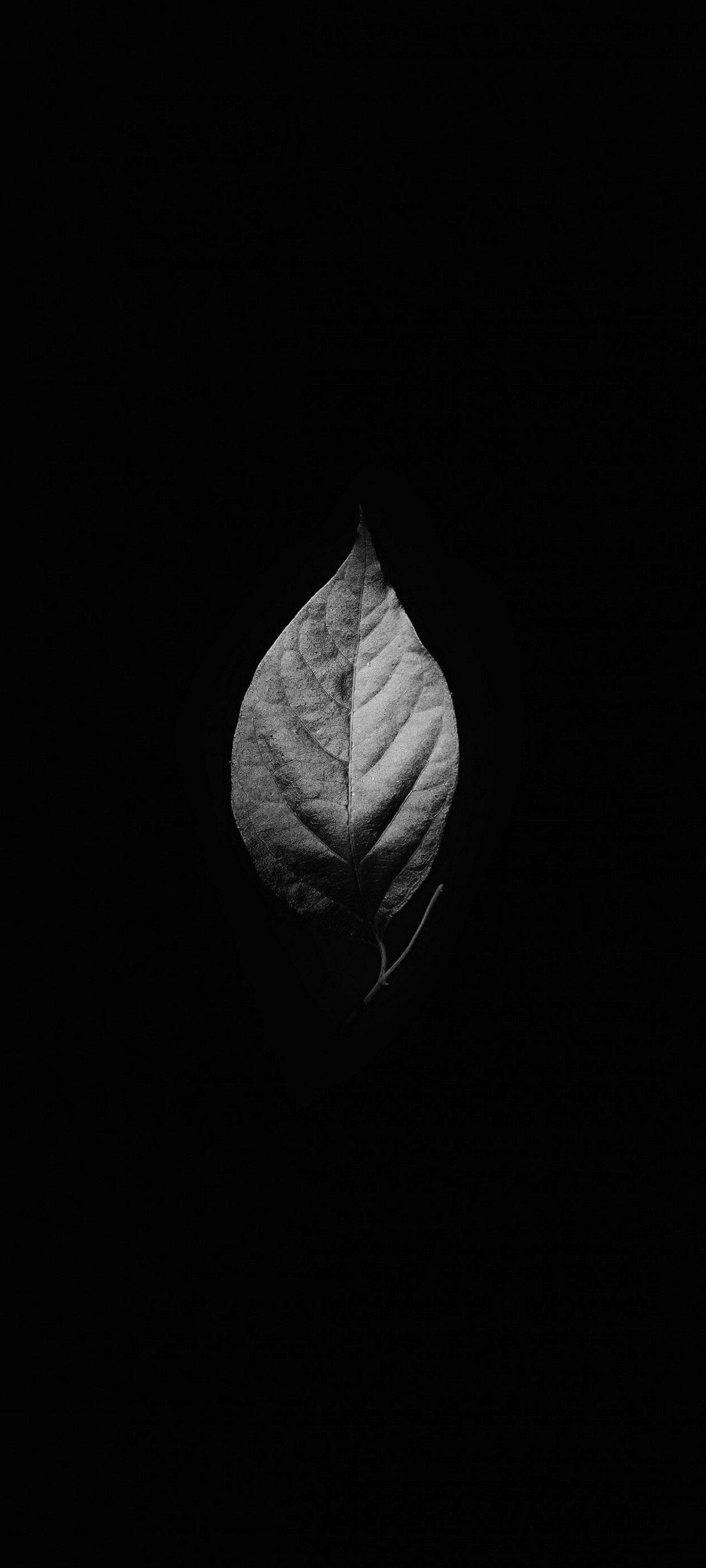 1080x2400 HD Wallpaper