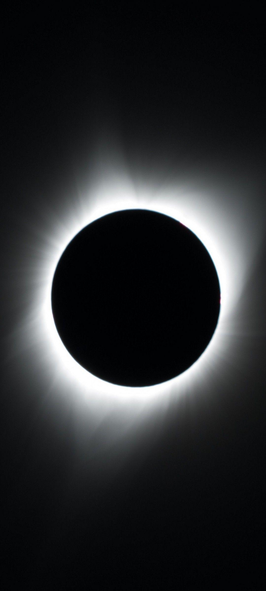 1080x2400 HD Wallpaper