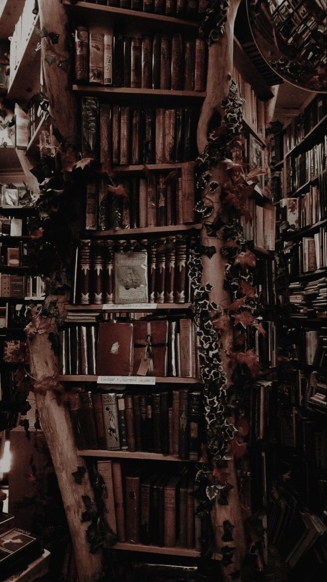 676x1200 Bücherregal vor einer Wand voller Bücher. Gothic library wallpaper aesthetic, Dark library aesthetic wallpaper, Book wallpaper