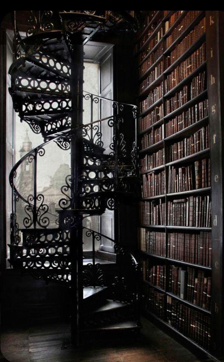 736x1189 Gothic library