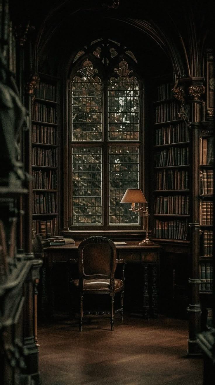 736x1313 Dark academia library. Gothic library, Dream library, Dark academia aesthetic