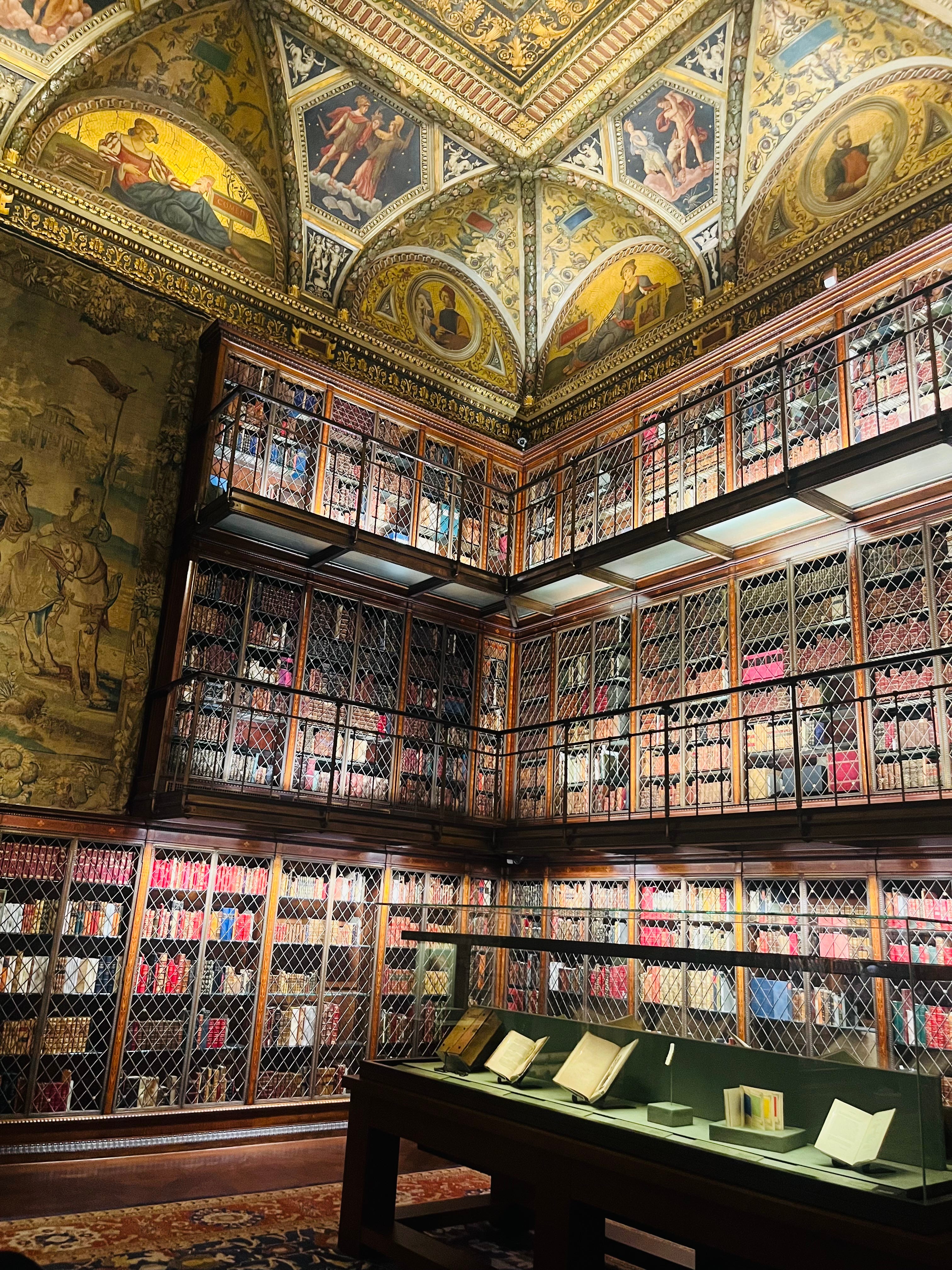 3024x4032 Bats as Librarians, Books as Bone: Gothic Fiction and the Library as Crypt