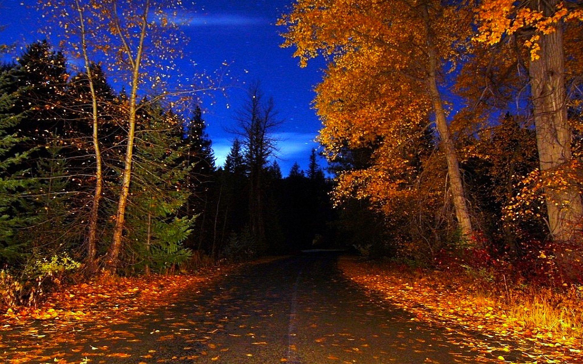 1920x1200 Autumn Night Wallpaper